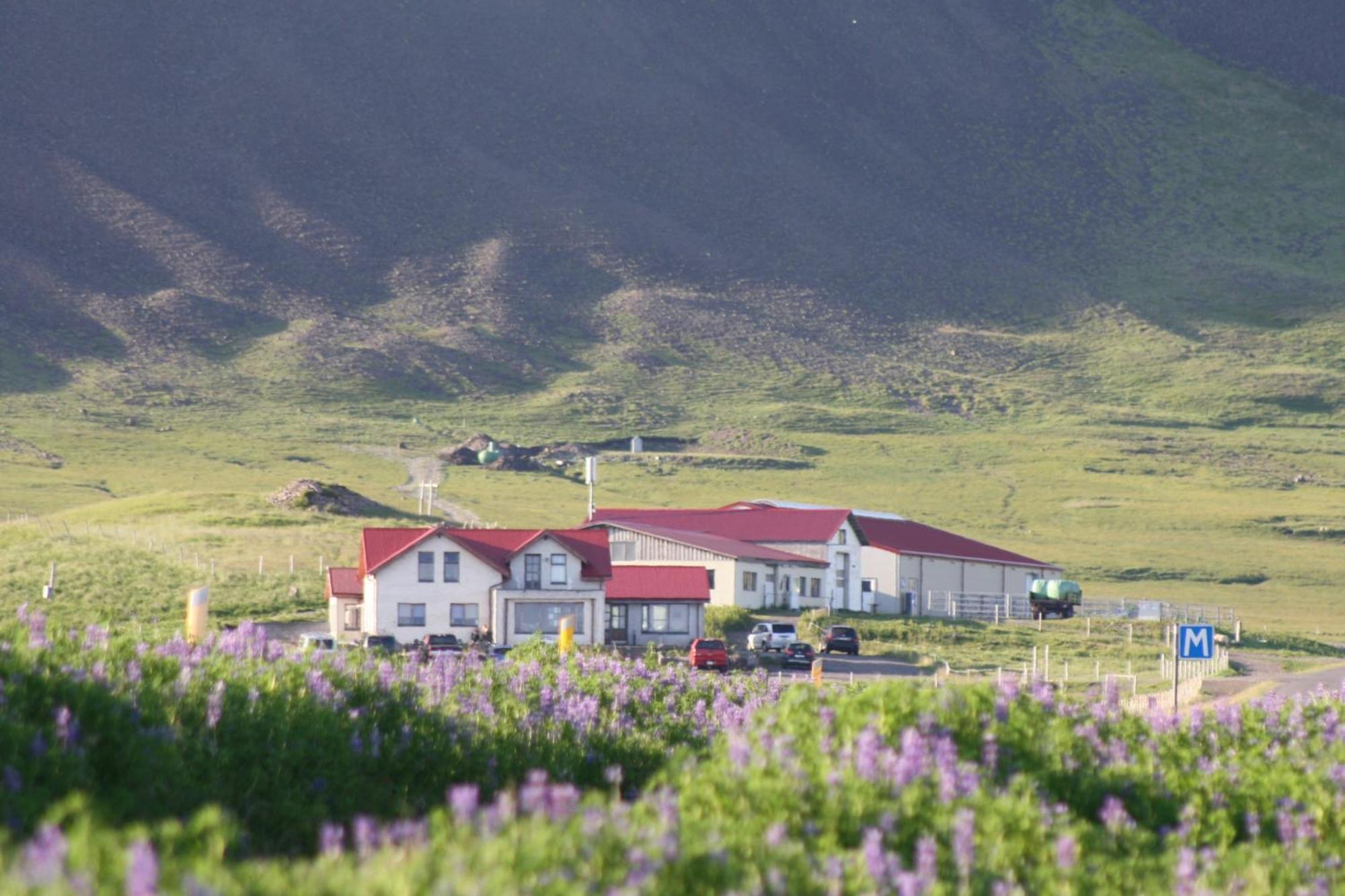 Hotel Lysuholl Snæfellsbær Exterior foto